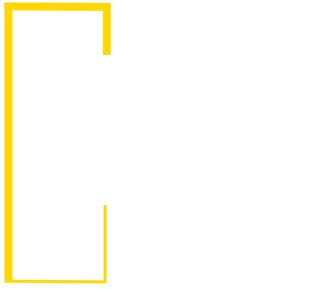 Viet Canvas